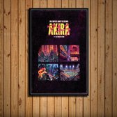 Akira Poster 10 - 13x18cm Canvas - Multi-color