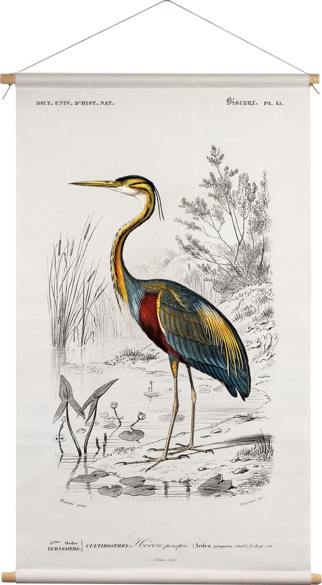 Wanddoek Reiger Charles D'Orbigny 65x45cm - textiel poster met leren koord