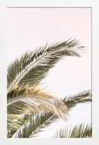 JUNIQE - Poster met houten lijst Oasis Palm 3 -13x18 /Groen