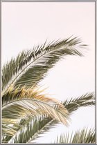 JUNIQE - Poster met kunststof lijst Oasis Palm 3 -30x45 /Groen