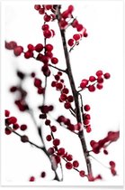 JUNIQE - Poster Red Berries 1 -13x18 /Rood & Wit