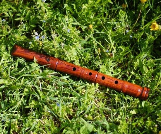 Foto: Shakuhachi van palissanderhout harmonyflute 1 1 shaku a traditionele japanse fluit hoge kwaliteit