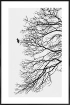 JUNIQE - Poster in kunststof lijst Winter Bird -60x90 /Grijs & Wit