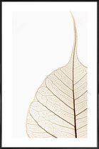 JUNIQE - Poster in kunststof lijst Translucent Leaf -60x90 /Wit