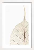 JUNIQE - Poster in houten lijst Translucent Leaf -20x30 /Wit