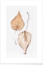JUNIQE - Poster Delicate Leaves -40x60 /Bruin & Groen