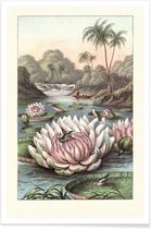 JUNIQE - Poster Water Lily -13x18 /Grijs & Groen