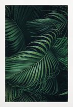 JUNIQE - Poster in houten lijst Gevederde Palm -60x90 /Groen