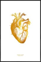 JUNIQE - Poster met kunststof lijst Human Heart gouden -13x18 /Goud &