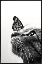 JUNIQE - Poster in kunststof lijst Butterfly Kiss -60x90 /Grijs