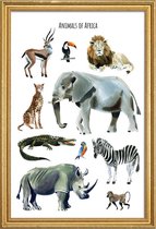 JUNIQE - Poster met houten lijst Animals of Africa -20x30 /Bruin &