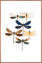 JUNIQE - Poster met kunststof lijst Libellen -60x90 /Blauw & Bruin