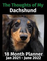 The Thoughts of My Dachshund