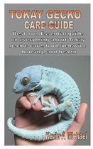 Tokay Gecko Care Guide: Best own Essential guide on everything about Tokay gecko