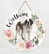 Welkom - Sint Bernard | Muurdecoratie - Bordje Hond