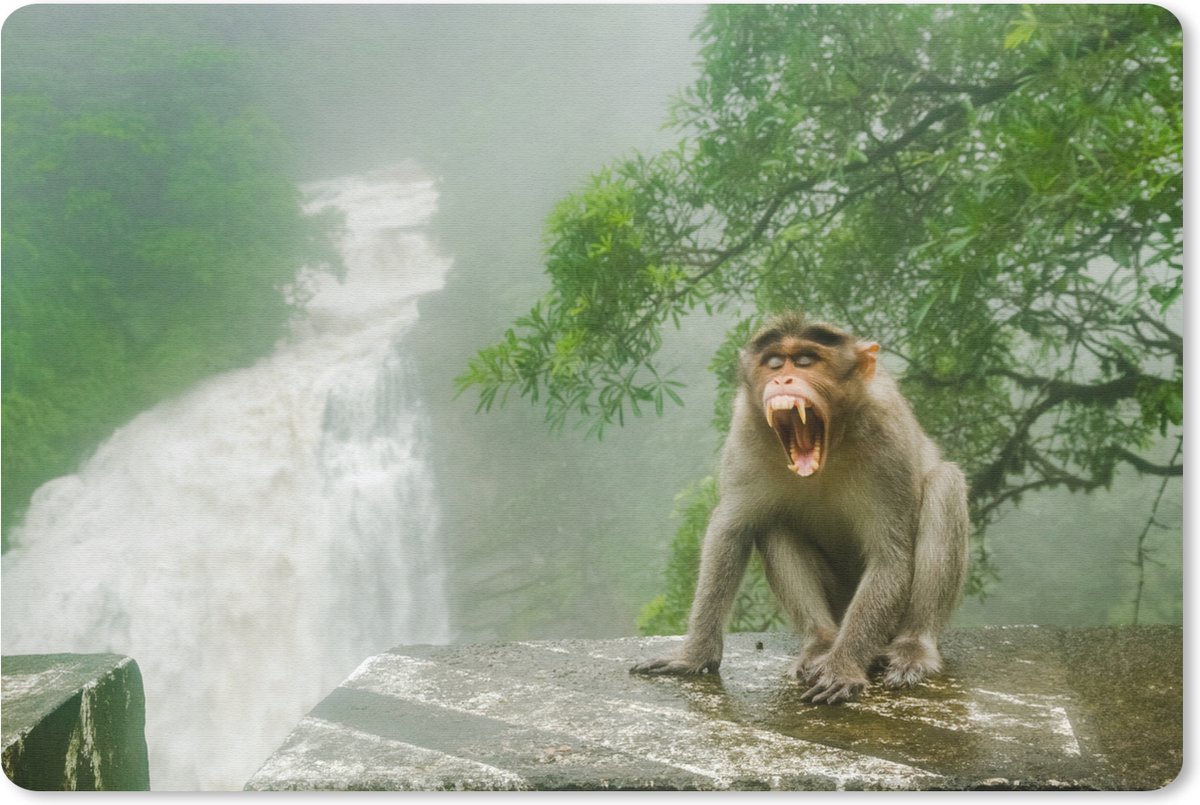 Muismat Junglebewoners - Schreeuwende aap voor waterval muismat rubber - 60x40 cm - Muismat met foto