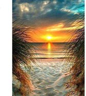 Lienz® Diamond Painting volwassenen 40x50cm – Rond – Zonsondergang - Strand - Pakket Volwassenen