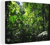 Regenwoud Brazilie Canvas 40x30 cm - klein - Foto print op Canvas schilderij (Wanddecoratie woonkamer / slaapkamer)