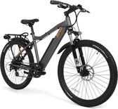 TORNA E-Bikes - URBAN - City E-bike - 250 W - LED-verlichting - Spatborden - Grijs - 19 inch - 27,5 inch