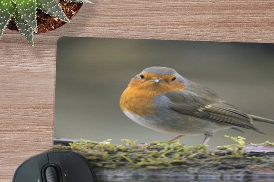Muismat 18x27 cm - Mousepad Roodborstje - Water - Mos - Muismatten