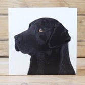 Kaart Black Labrador 15x15cm
