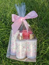 Victoria Beauty verwenpakket voor in de  douche of bad verrijkt met rozenwater en hyaluronzuur + gratis mesh spons