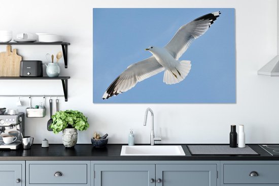 Gros plan d'une mouette en vol Toile 120x80 cm - Tirage photo sur toile (Décoration murale salon / chambre)