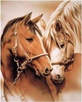 Schilderen op nummer paarden (zonder frame)