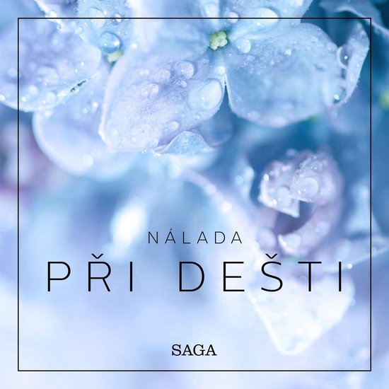 Pohoda – Při dešti - cover