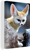 Canvas schilderij 90x140 cm - Wanddecoratie Dieren - Vos - Boomstam - Muurdecoratie woonkamer - Slaapkamer decoratie - Kamer accessoires - Schilderijen