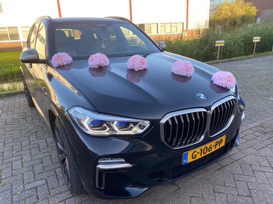 Autoaanhanger, voetbal, mand, volleybal, aanhanger, achteruitkijkspiegel, decoratie, voetbal, decoratie