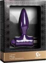 Petite Sensations Plug - Purple - Butt Plugs & Anal Dildos