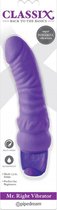 Mr. Right Vibrator - Purple - Silicone Vibrators - Classic Vibrators