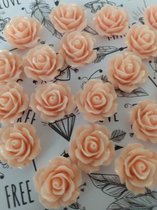 ROYA resin cabochon 19mm plak bloemetjes 25 stuks platte achterkant, flatback ABRIKOOS
