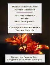 Postales sin remitente. Postcards without return. Cartes postels sans retour: Edición trilingüe. Trilingual edition. Édition trinlingue