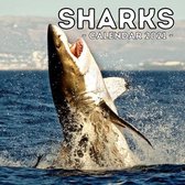 Sharks Calendar 2021: Cute Gift Idea For Sharks Lovers Men And Women