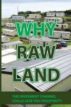 Why Raw Land: The Invesment Channel Could Give You Prosperity