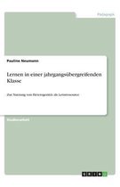 Lernen in einer jahrgangsübergreifenden Klasse