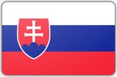 Vlag Slowakije - 70 x 100 cm - Polyester