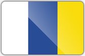 Vlag gemeente Doetinchem - 100 x 150 cm - Polyester