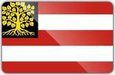 Vlag gemeente 's Hertogenbosch - 150 x 225 cm - Polyester