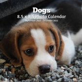Dogs 8.5 X 8.5 Calendar September 2021 -December 2022: Monthly Calendar with U.S./UK/ Canadian/Christian/Jewish/Muslim Holidays-Cute Dogs Pets