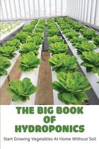 The Big Book Of Hydroponics: Start Growing Vegetables At Home Without Soil