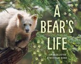 My Great Bear Rainforest 2 - A Bear's Life