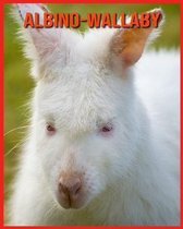 Albino-Wallaby