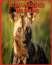 Afrikanischer Wildhund