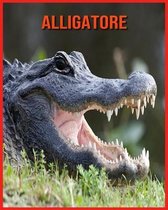 Alligatore