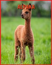 Alpaka