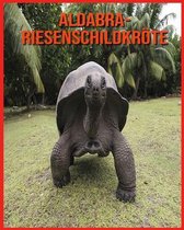 Aldabra-Riesenschildkroete