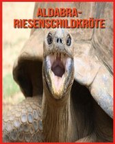 Aldabra-Riesenschildkroete